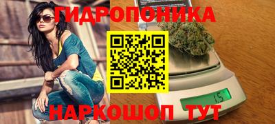хмурый Кингисепп